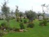 bosque12